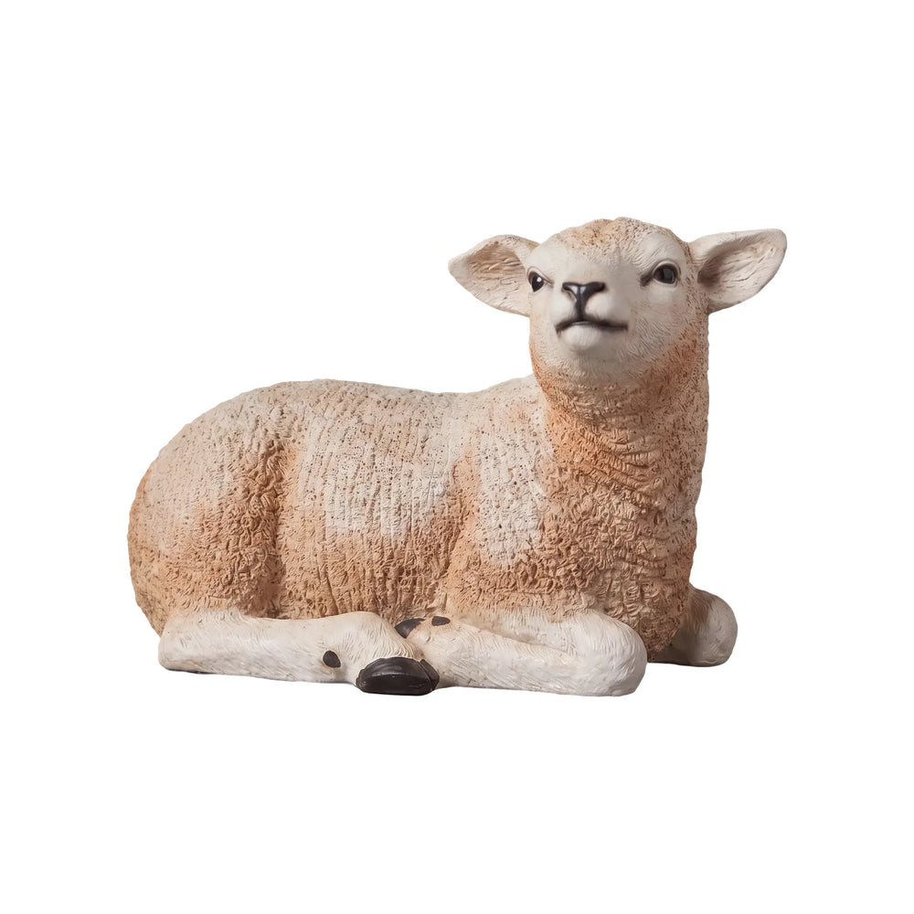 Texelaar Lamb Resting