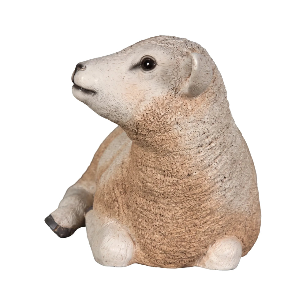 Texelaar Lamb Resting