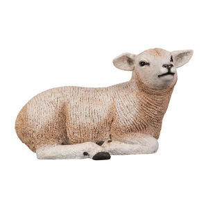 Texelaar Lamb Resting