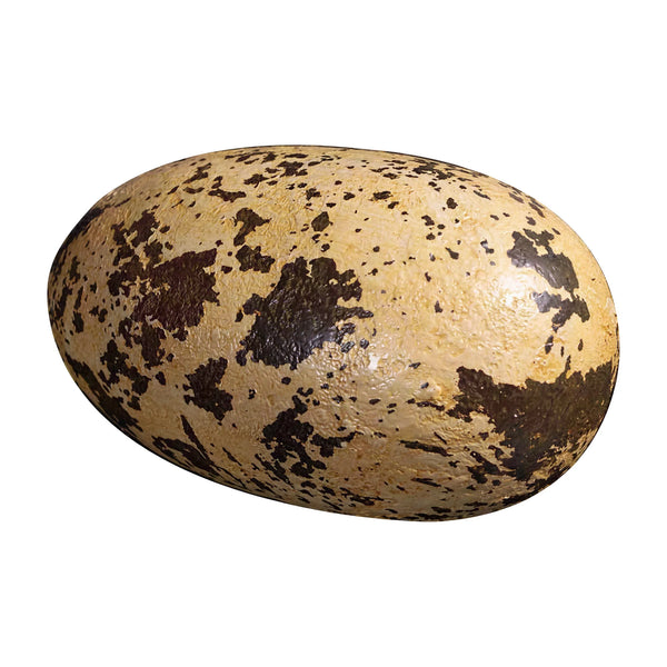 Theropod Egg 9" (12Pcs/Box)
