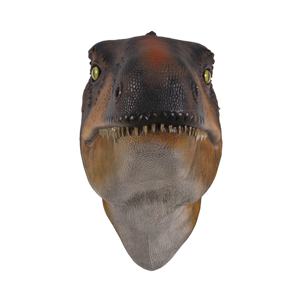 Theropod Head Wall Decor (Not In Aus)