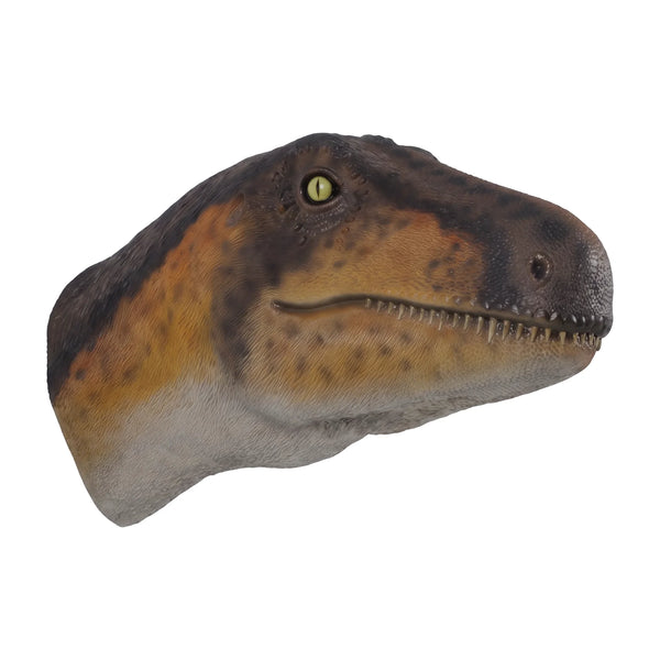 Theropod Head Wall Decor (Not In Aus)