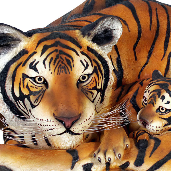 Tigress with Cub (not in Aus)