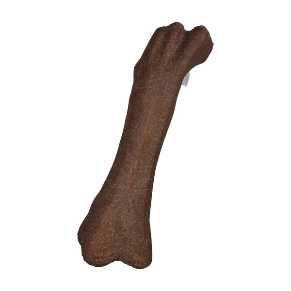 Titanosaur Femur (Not In Aus)