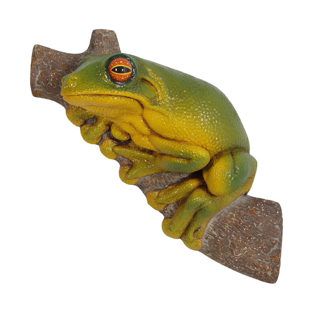 Tree Frog Small (not in Aus)