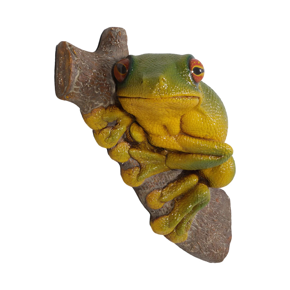 Tree Frog Small (not in Aus)