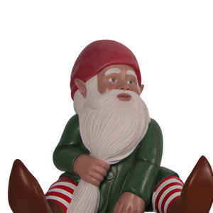 Tree Trunk With Gnome
