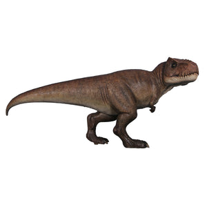 T-Rex 152Cm H