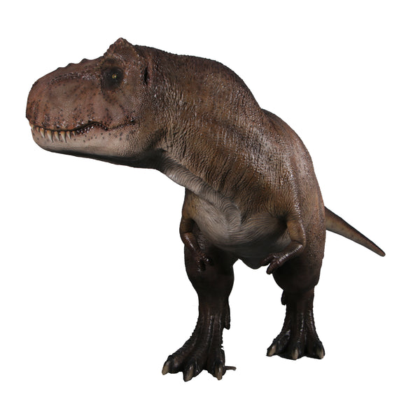 T-Rex 152Cm H