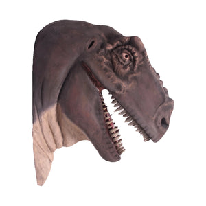 T-Rex Head Jumbo (Not In Aus)