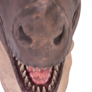 T-Rex Head Jumbo (Not In Aus)