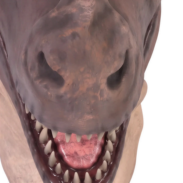 T-Rex Head Jumbo (Not In Aus)