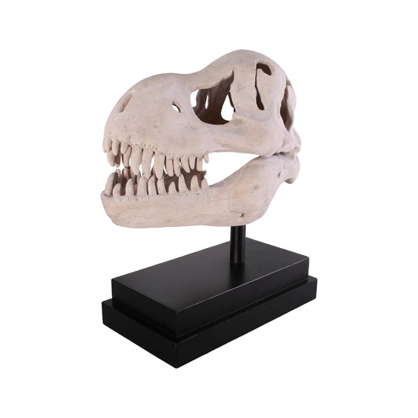 T-Rex Skull On Base
