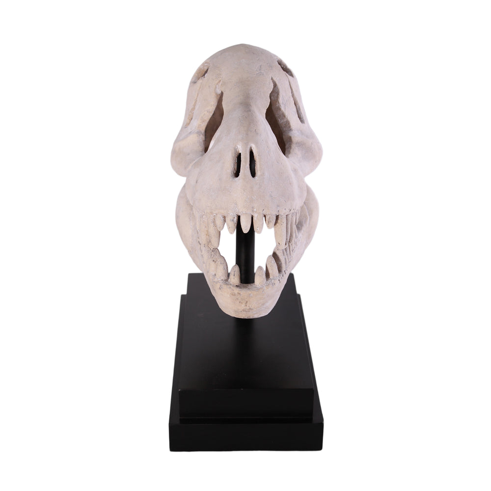 Decorative replica of a pale, textured Tyrannosaurus Rex skull featuring open jaws with prominent teeth, mounted on a vertical support rod and a tiered rectangular black base.