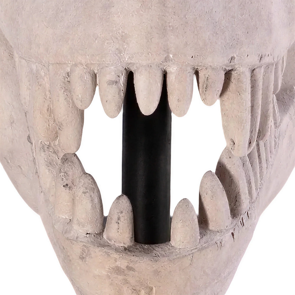 T-Rex Skull On Base