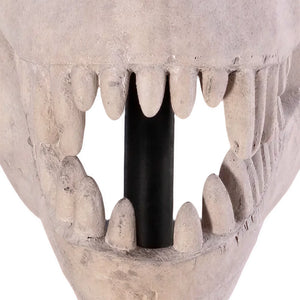 T-Rex Skull On Base