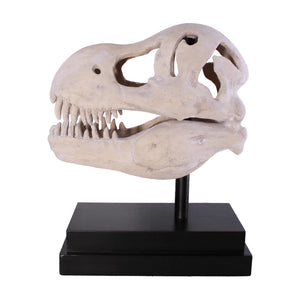T-Rex Skull On Base