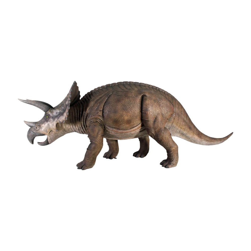 Triceratops