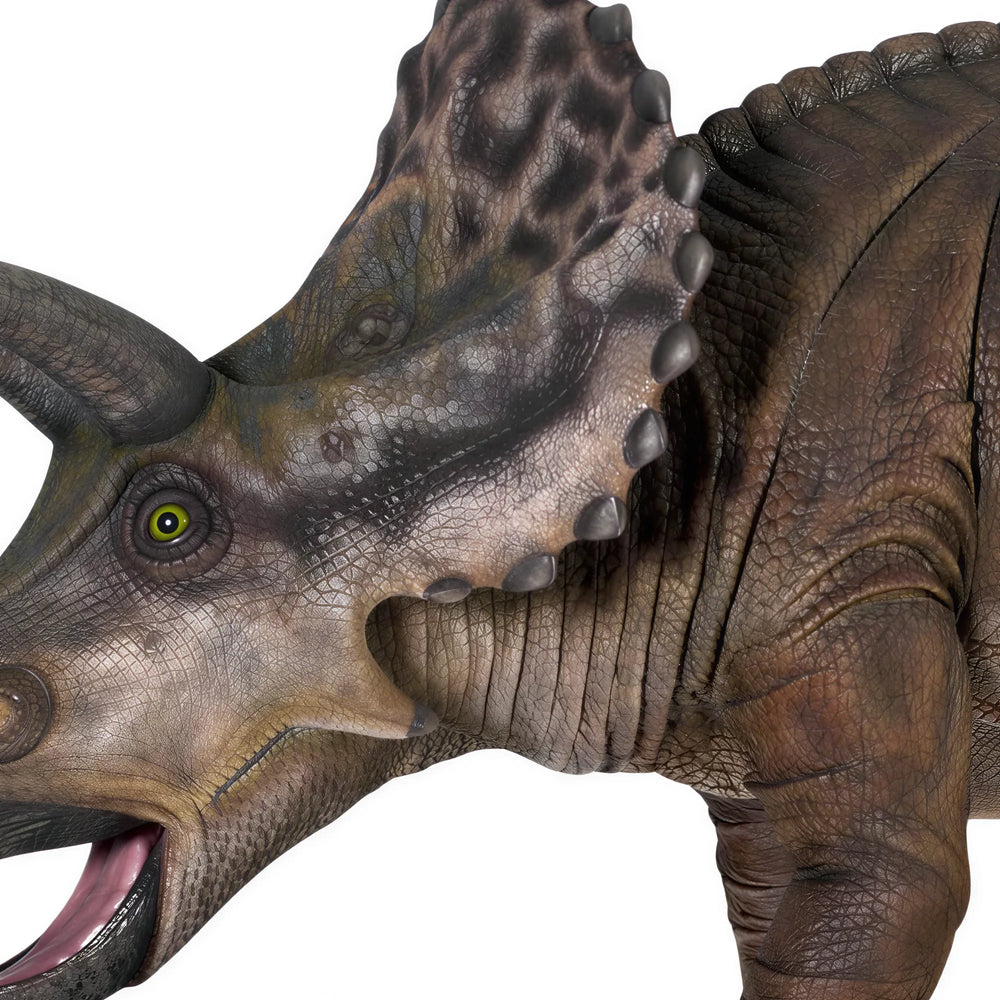 Triceratops - Gelcoat Version