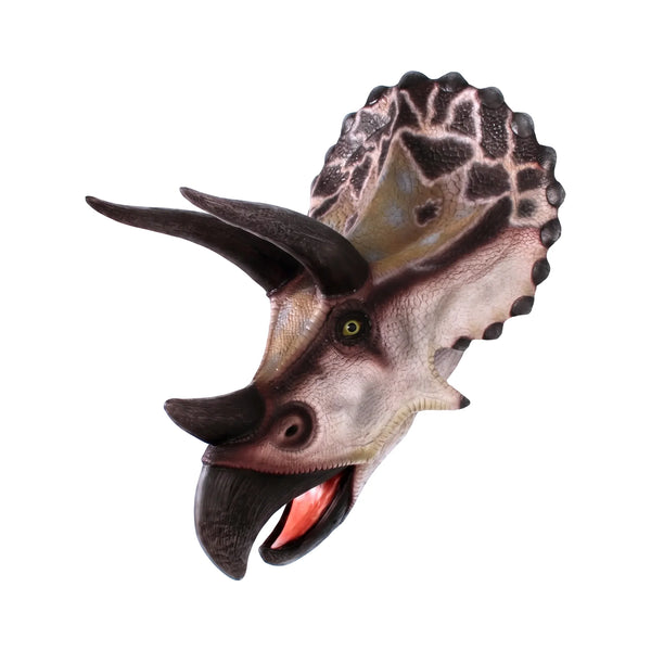 Triceratops - Head Only