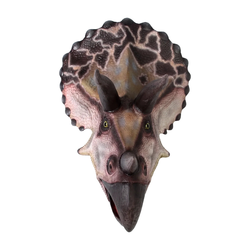Triceratops - Head Only