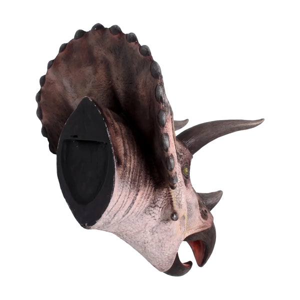 Triceratops - Head Only