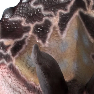 Triceratops - Head Only