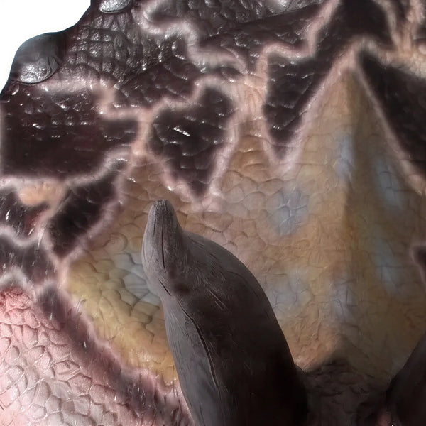 Triceratops - Head Only