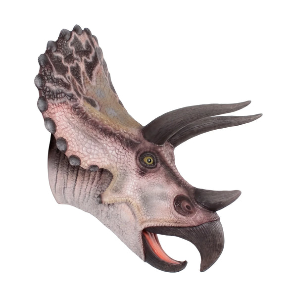 Triceratops - Head Only
