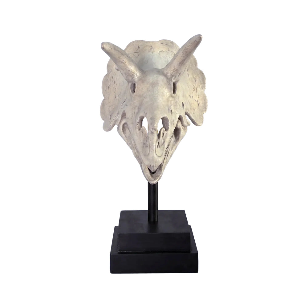 Triceratops Skull On Base