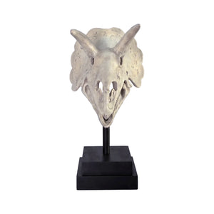 Triceratops Skull On Base