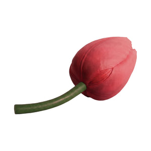 Tulip 60Cm X 39Cm (Not In Benelux/Germany)