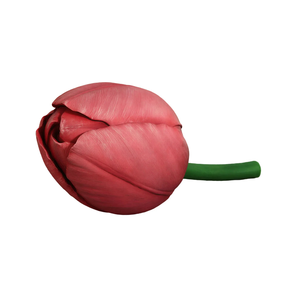 Tulip 60Cm X 39Cm (Not In Benelux/Germany)