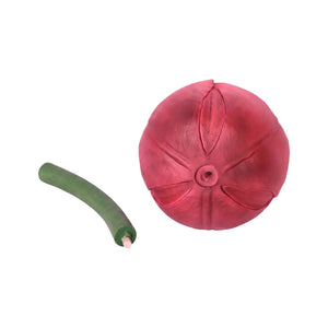 Tulip 60Cm X 39Cm (Not In Benelux/Germany)