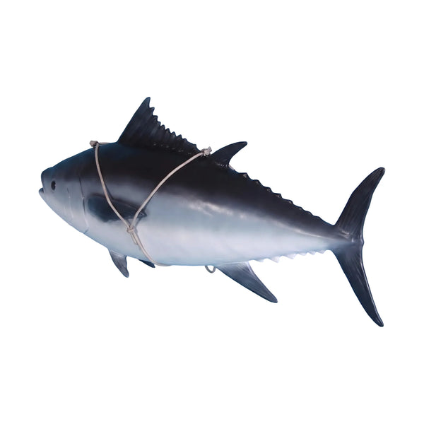 Tuna Fish