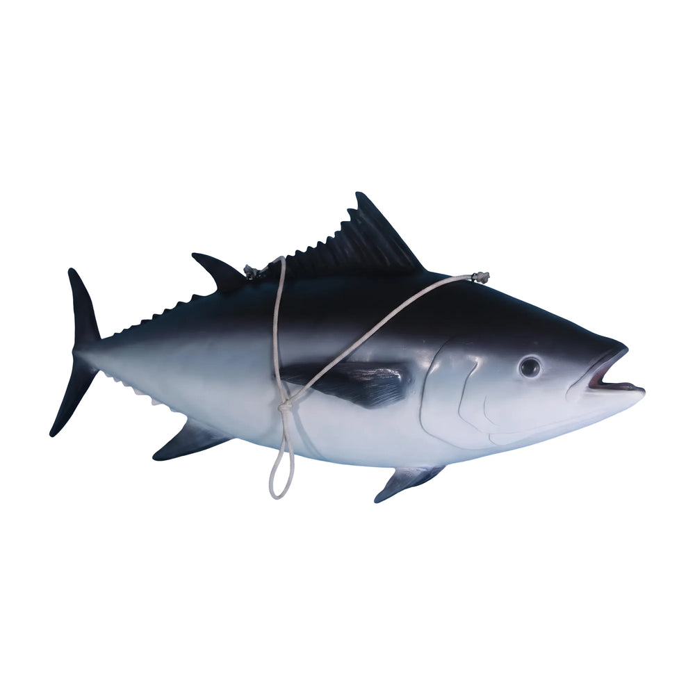 Tuna Fish
