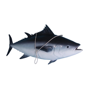 Tuna Fish