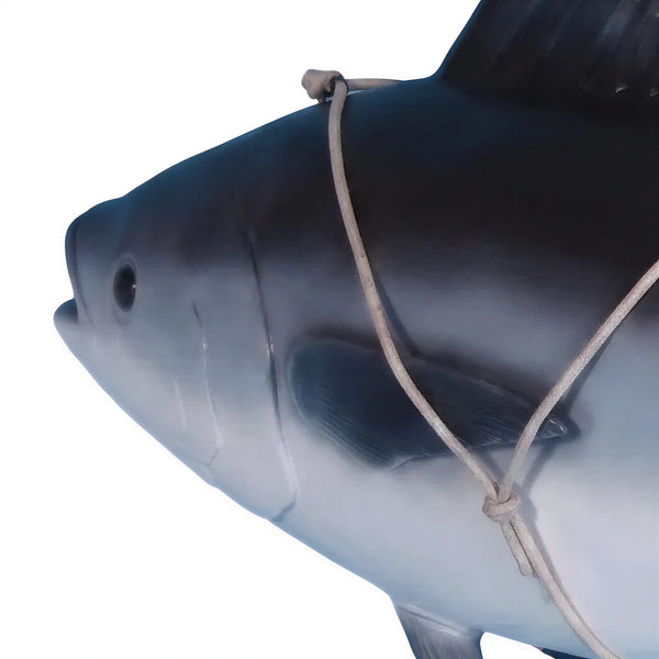 Tuna Fish