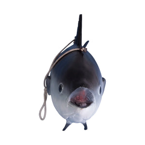 Tuna Fish