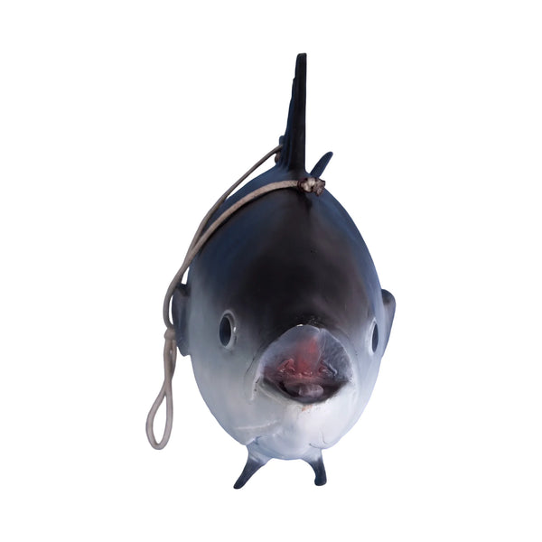 Tuna Fish
