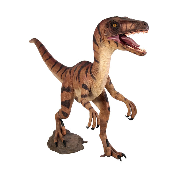 Velociraptor