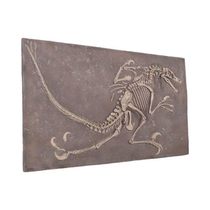 Velociraptor Freeze (Not In Aus)