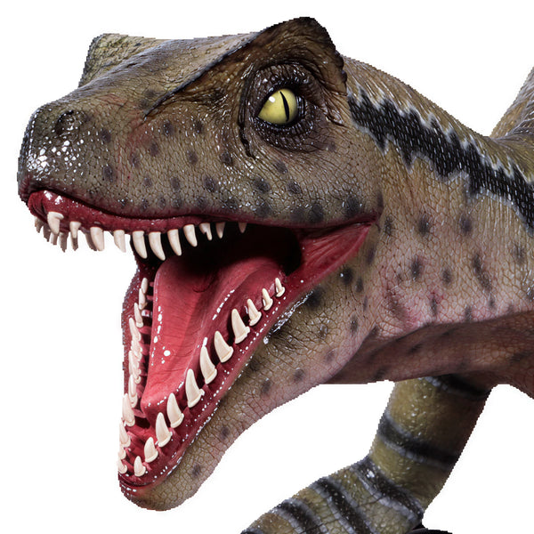 Velociraptor - Razor Beaks - Gelcoat Version (Not In Aus)