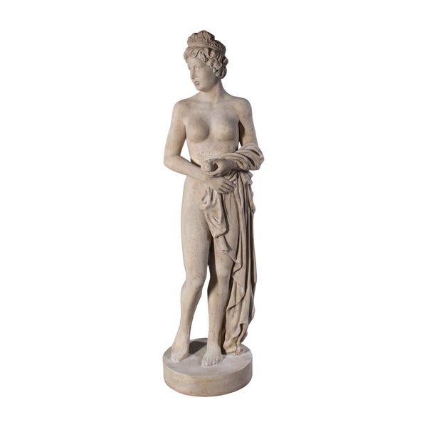 Venus Holding Apple