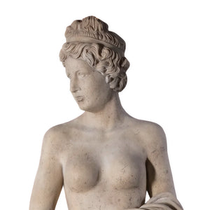 Venus Holding Apple