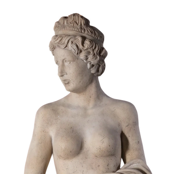 Venus Holding Apple