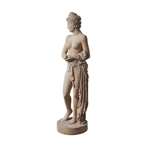 Venus Holding Apple