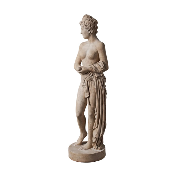 Venus Holding Apple