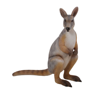 Wallaby Standing (not in AUS)
