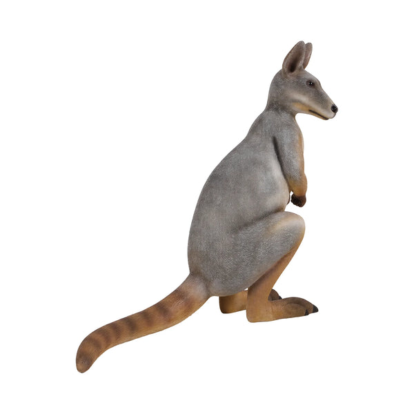 Wallaby Standing (not in AUS)